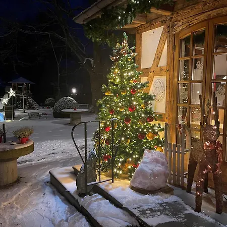 林格瑟穆尔餐厅酒店 酒店 贝格诺伊施塔特